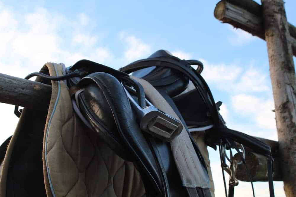 Western Saddles vs. English Saddles The Differences Explained