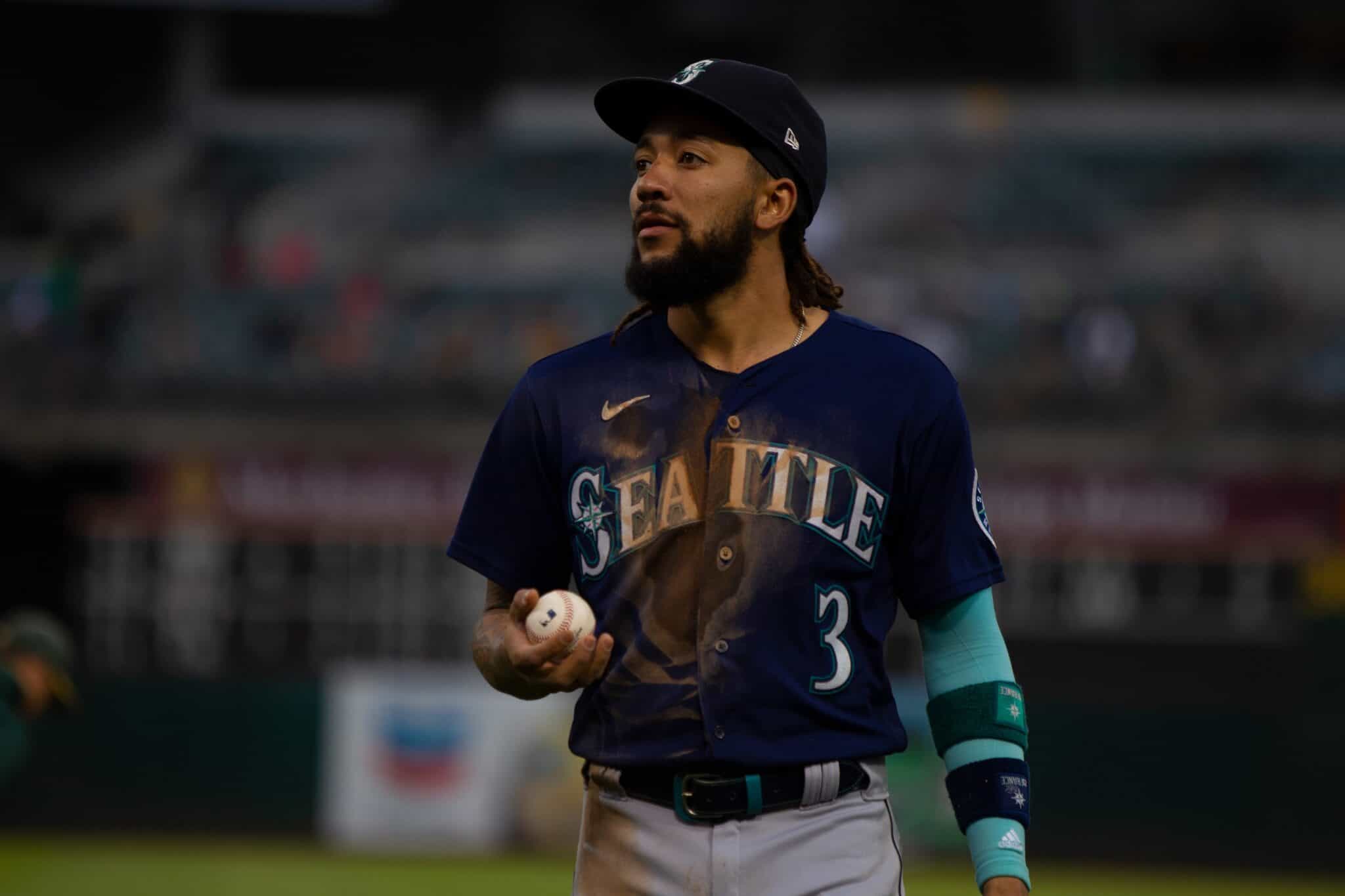 Why Do Baseball Players Eat Sunflower Seeds? American Sports